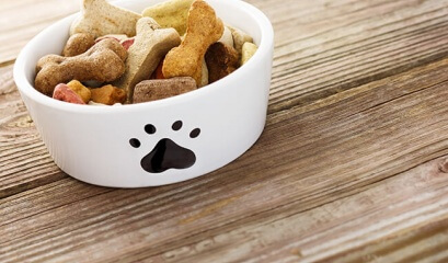 ​10 alimentos saudáveis para os cachorros