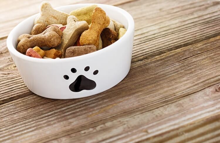 ​10 alimentos saudáveis para os cachorros