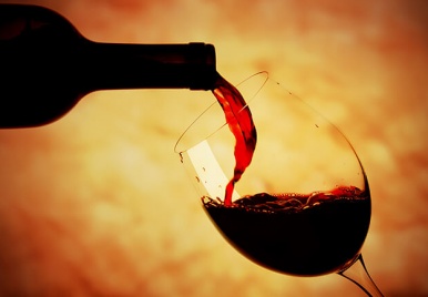 Manual do vinho: Aprenda a beber