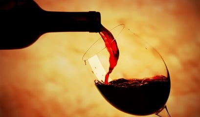Manual do vinho: Aprenda a beber