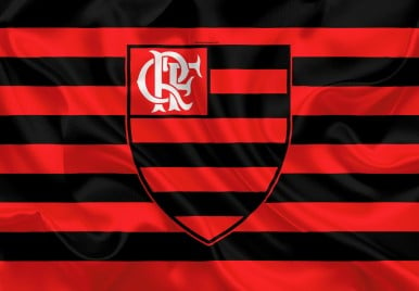 A História do Flamengo